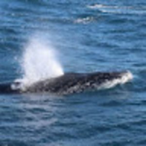 Meet your Posher, Joanne